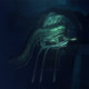 Image for article titled The story of a cat and two humans, trying to survive in post-apocalyptic, underwater Brooklyn